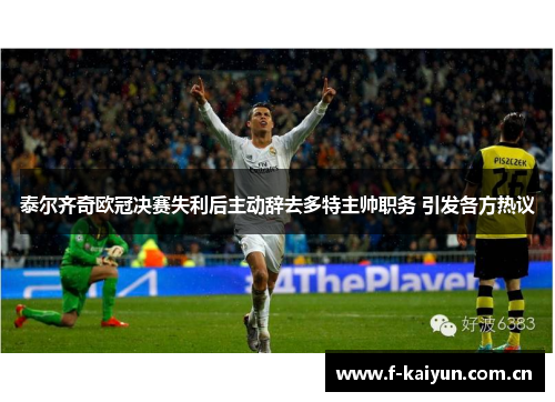 泰尔齐奇欧冠决赛失利后主动辞去多特主帅职务 引发各方热议 泰尔齐奇欧冠决赛失利后主动辞去多特主帅职务 引发各方热议